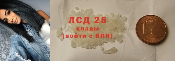 хмурый Алексин