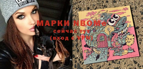 хмурый Алексеевка