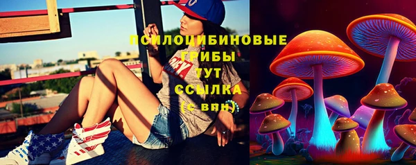хмурый Алексеевка