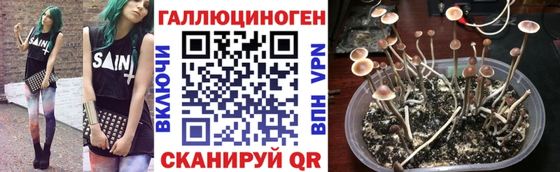Галлюциногенные грибы GOLDEN TEACHER  MEGA онион  Обоянь  сколько стоит 